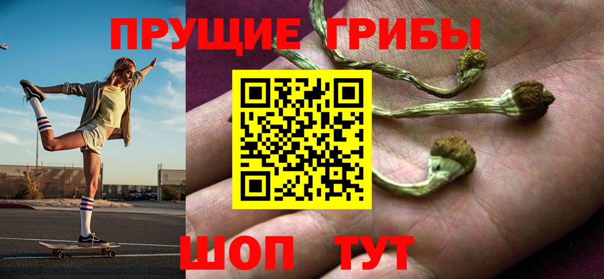 Галлюциногенные грибы GOLDEN TEACHER  Вход с VPN  Кизилюрт 